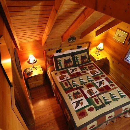 Cute Updated Mountain Cabin Fireplace #3 Helen Dış mekan fotoğraf